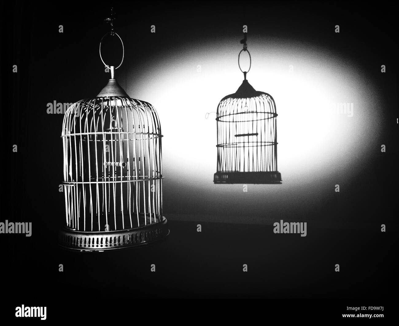 Empty bird cage hires stock photography and images Alamy