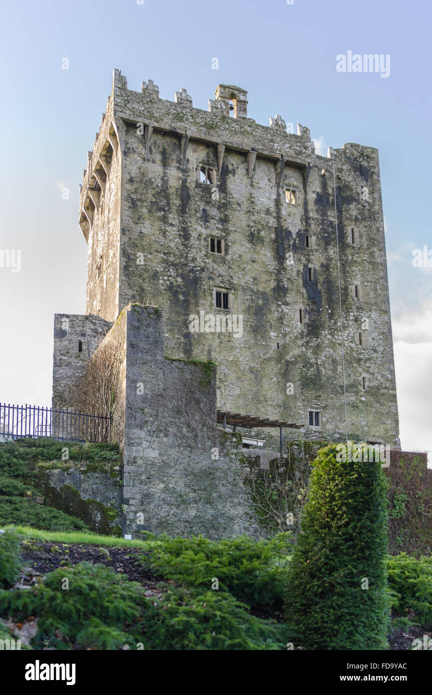 The world famous Blarney Castle, Blarney, Cork, Ireland. Stock Photo
