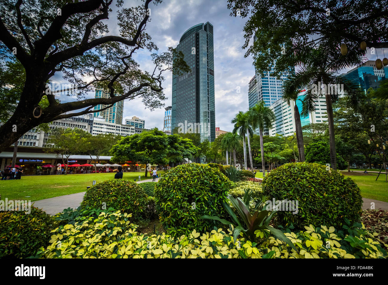 Garden And Skyscrapers At Greenbelt Park, In Ayala, Makati, Metro Manila,  The Philippines. Stock Photo, Picture and Royalty Free Image. Image  54904214.