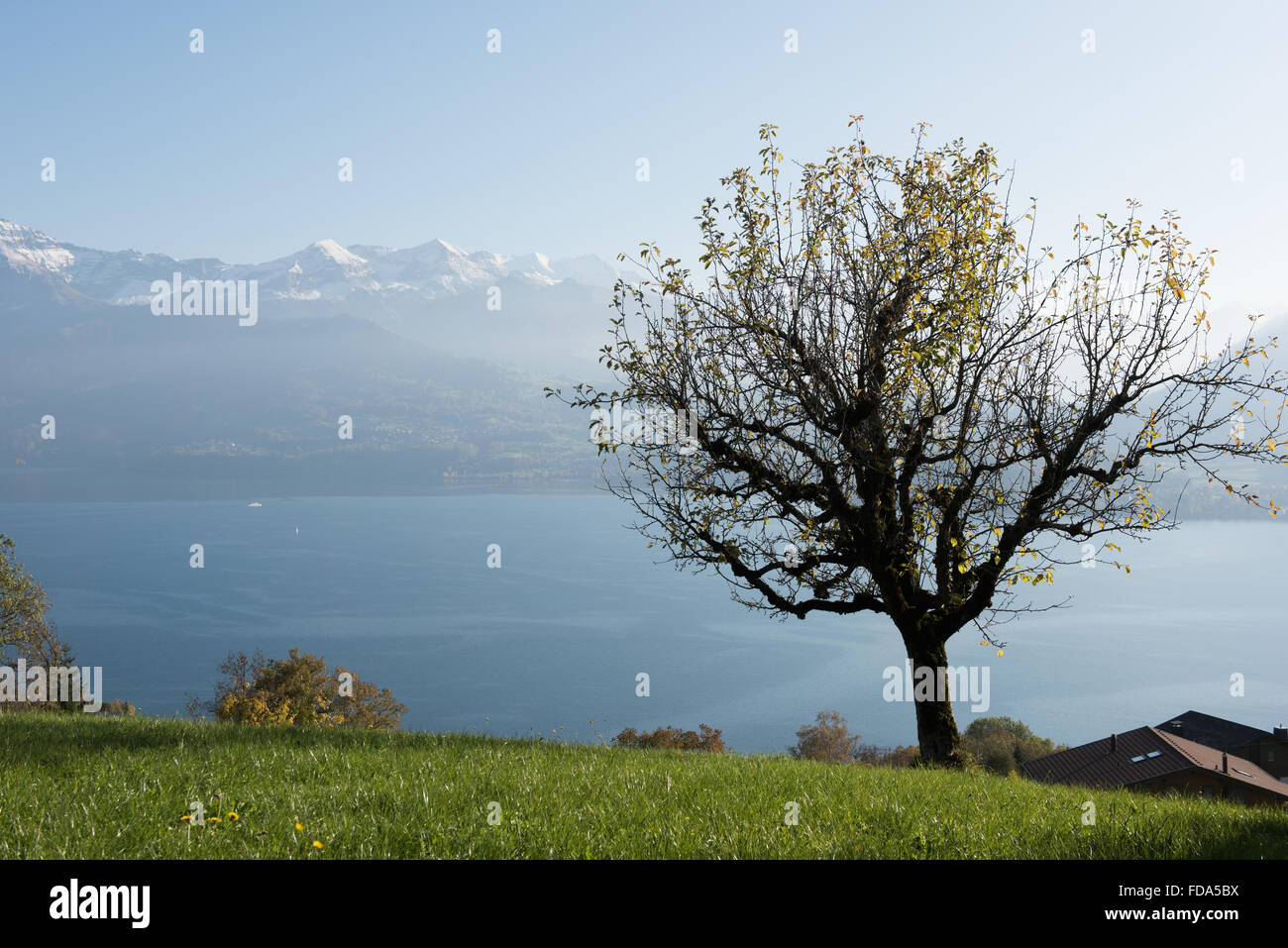 Sigriswil, Switzerland, view over the lake Thun Stock Photo
