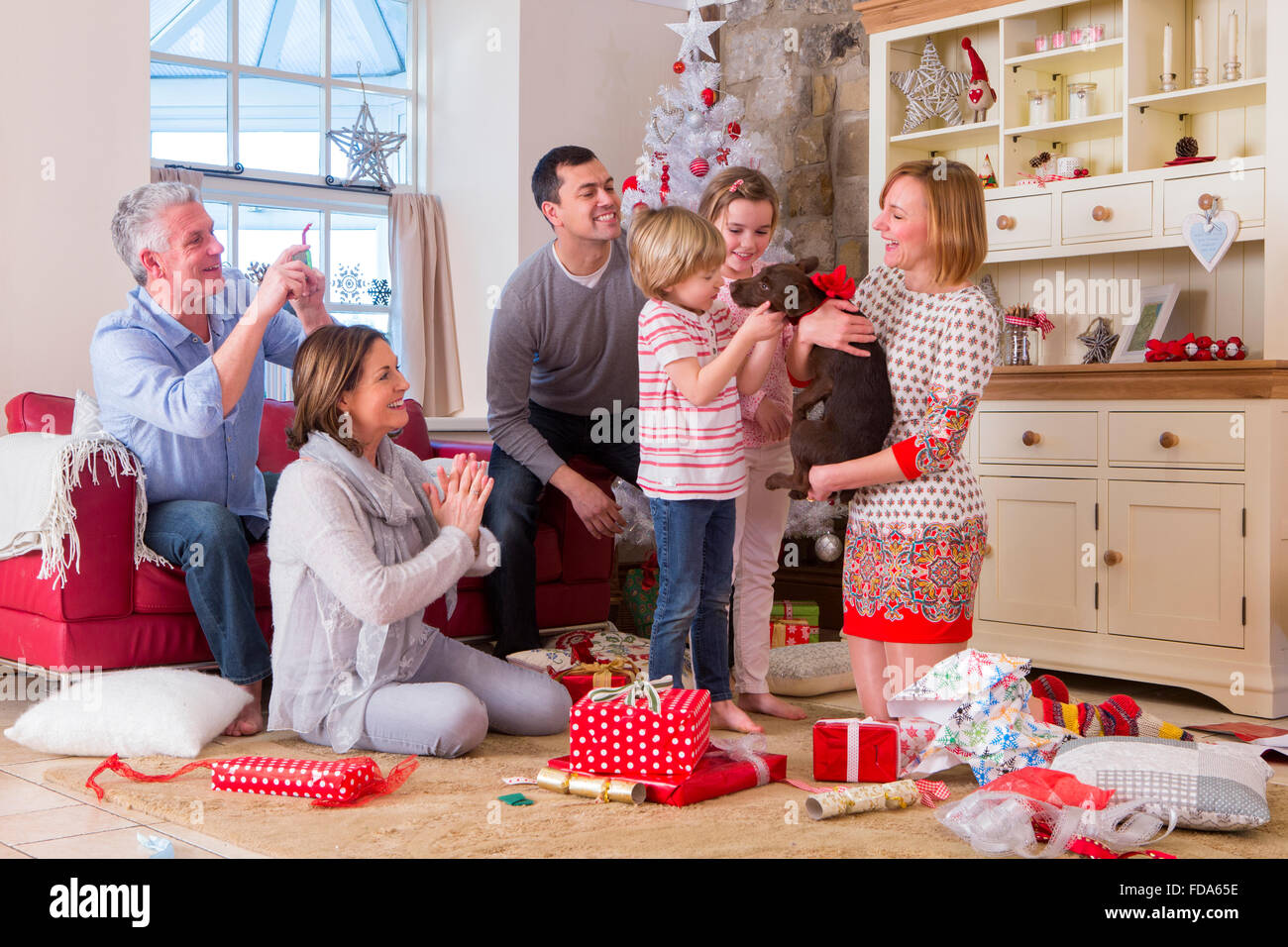 A Three Generation Family at Christmas. Mum holds a small brown dog with a ribbon around its neck and everyone looks surprised. Stock Photo