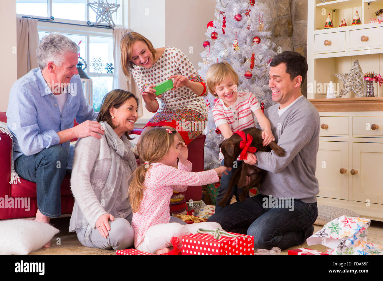 Three Generation Family at Christmas Time. Dad holds a small brown dog with a ribbon tied around its collar and everyone looks s Stock Photo