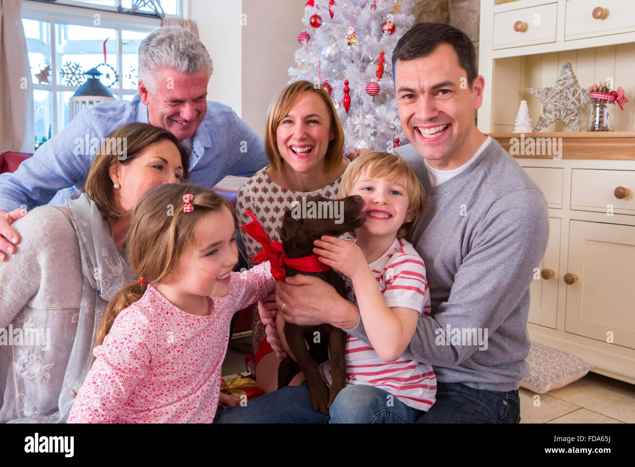 Three Generation Family at Christmas Time. Everyone is smiling and excited about the surprise puppy. Stock Photo