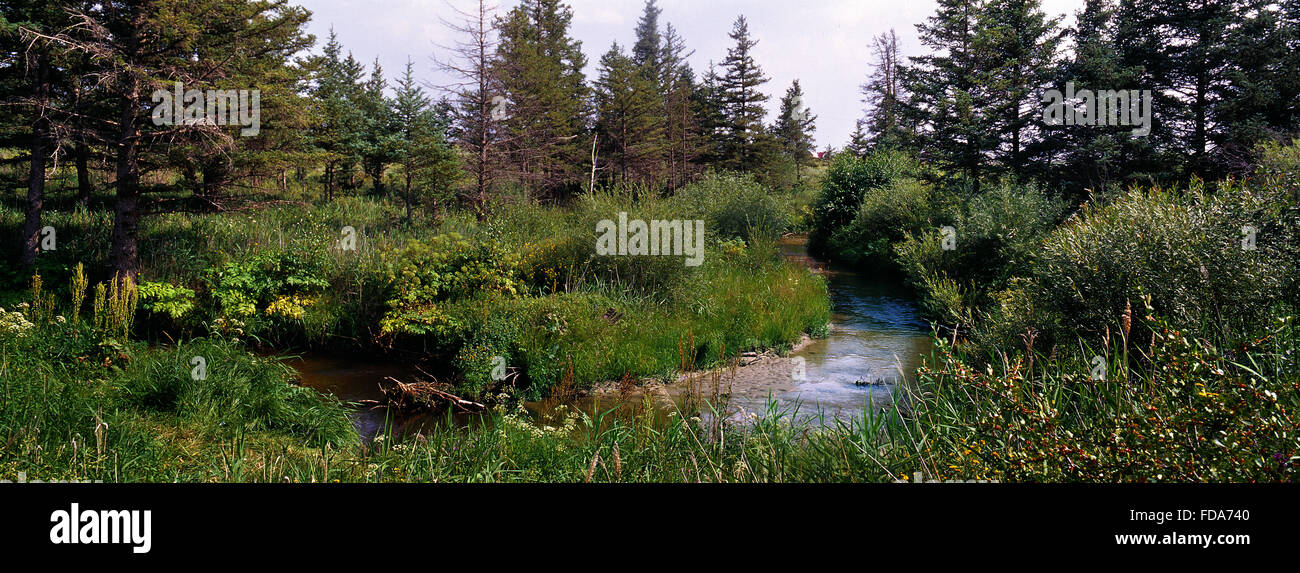 Landscape Greater Khingan Mountains Inner Mongolia Stock Photo - Alamy