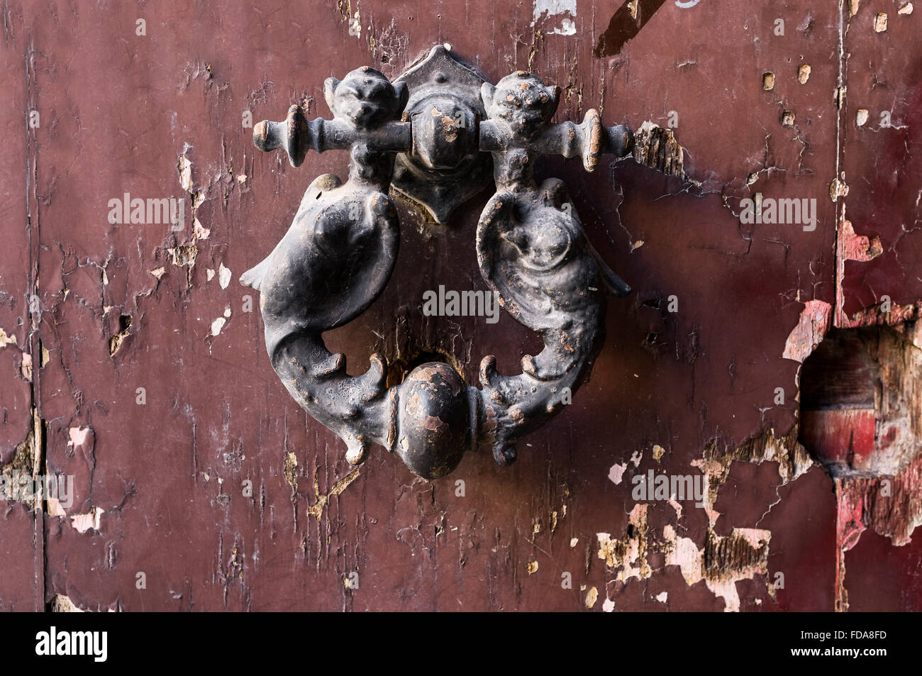 DOORKNOCKER WALLET DUOMO DYNASTY main image 1