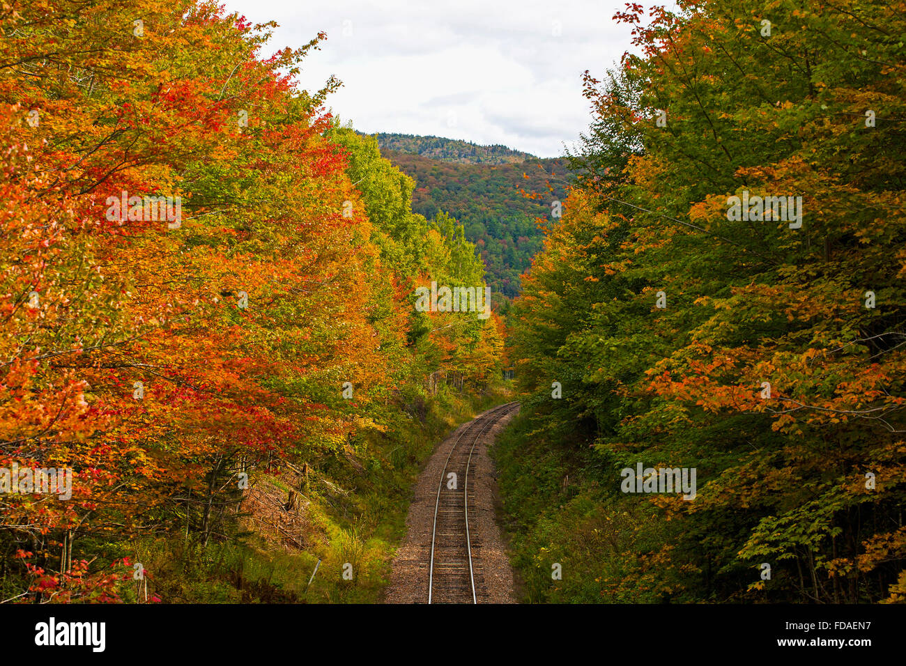 Railroad tracks, early autumn, Eastern Townships, Eastmen, Quebec, Canada Stock Photo