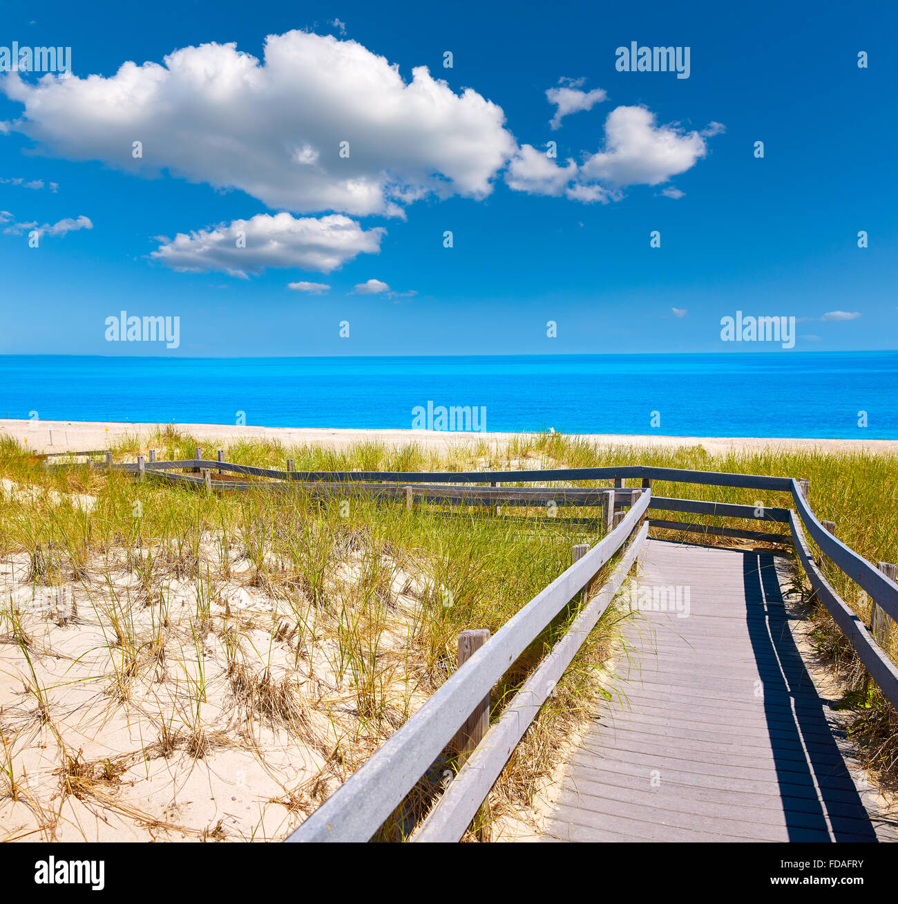 Cape Cod Sandy Neck Beach in Barnstable Massachusetts USA Stock Photo