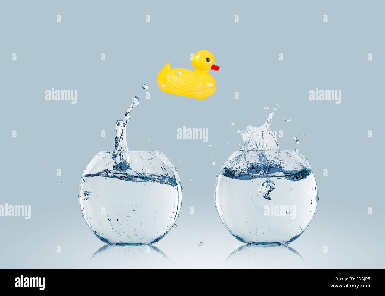 jumping duck toy