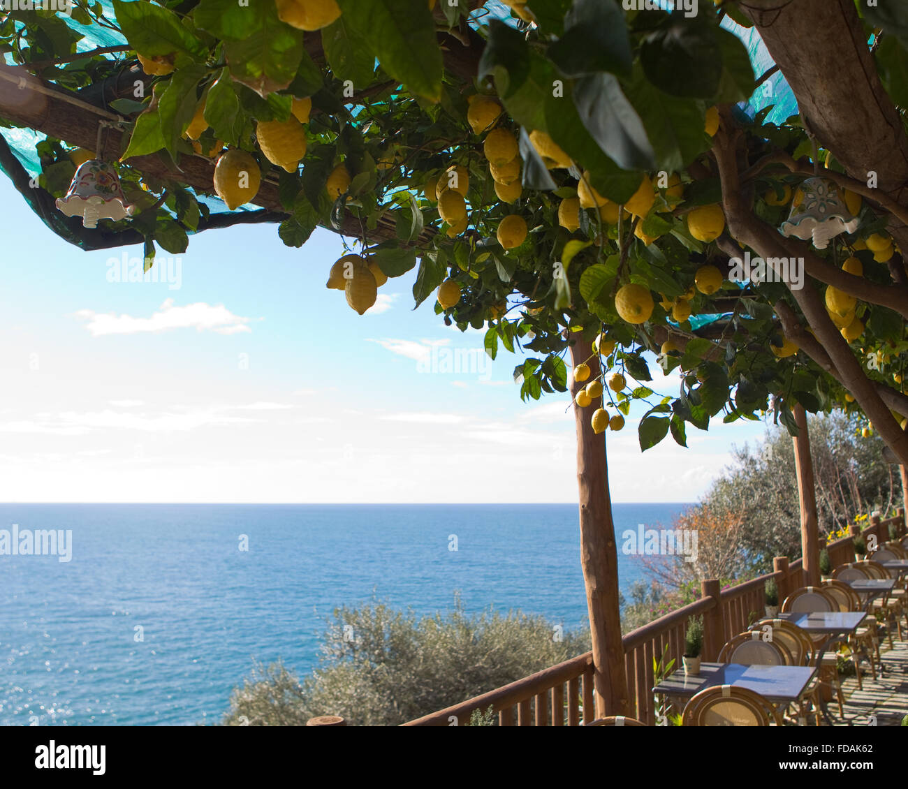 Lemon tree overlooking the Mediterranean Sea Stock Photo
