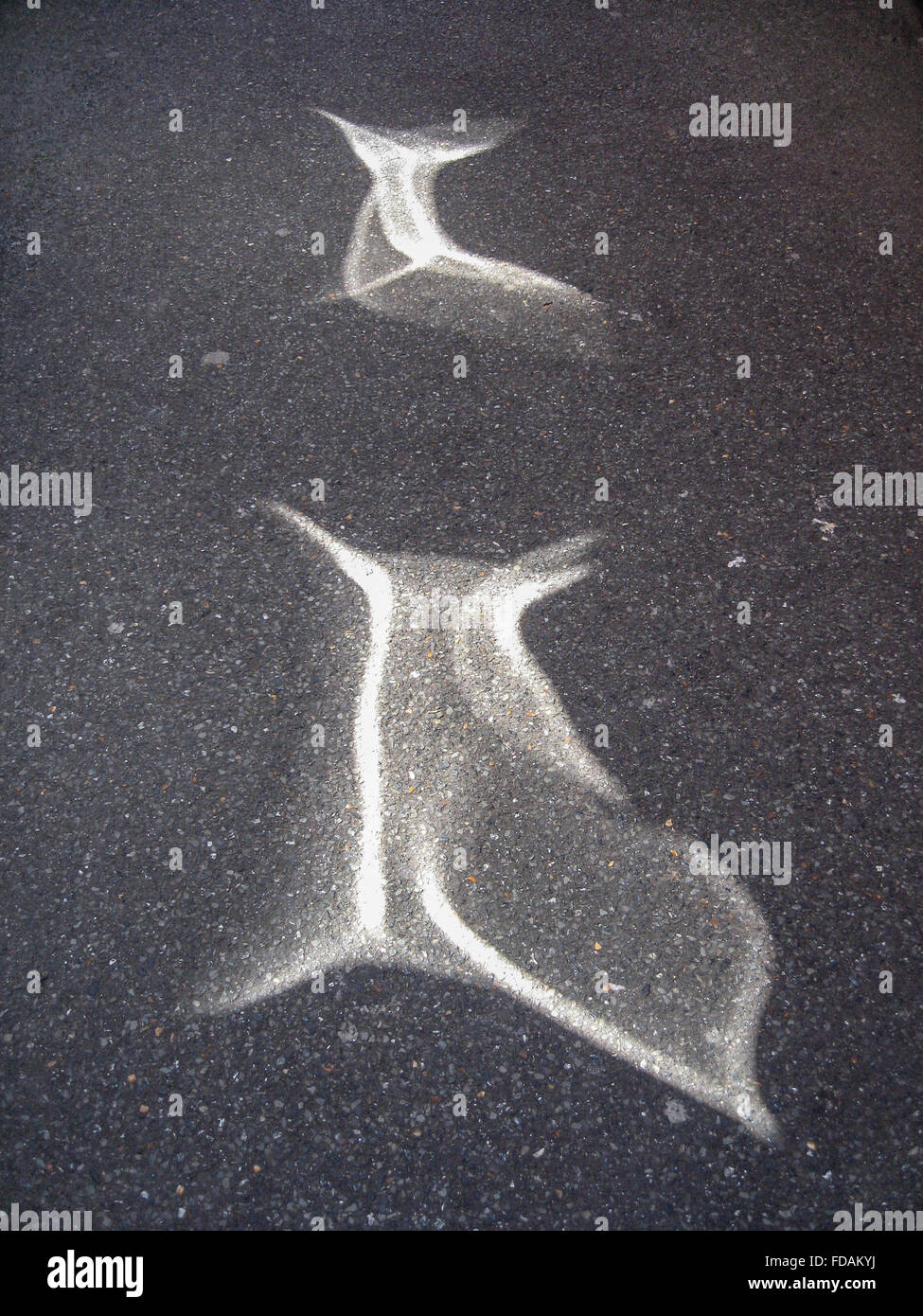 sunlight ray patterns in the shape of dolphins playing on a dark concrete pavement Stock Photo