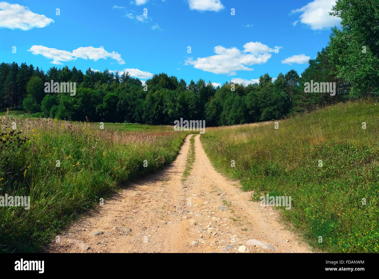 Beautiful summer landscape with sky, clouds and forest road Stock Photo