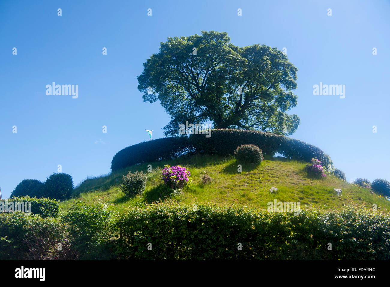 Tomen motte fort fortress castle mound Bala Y Bala Merionethshire Meirionnydd Gwynedd Mid Wales UK Stock Photo