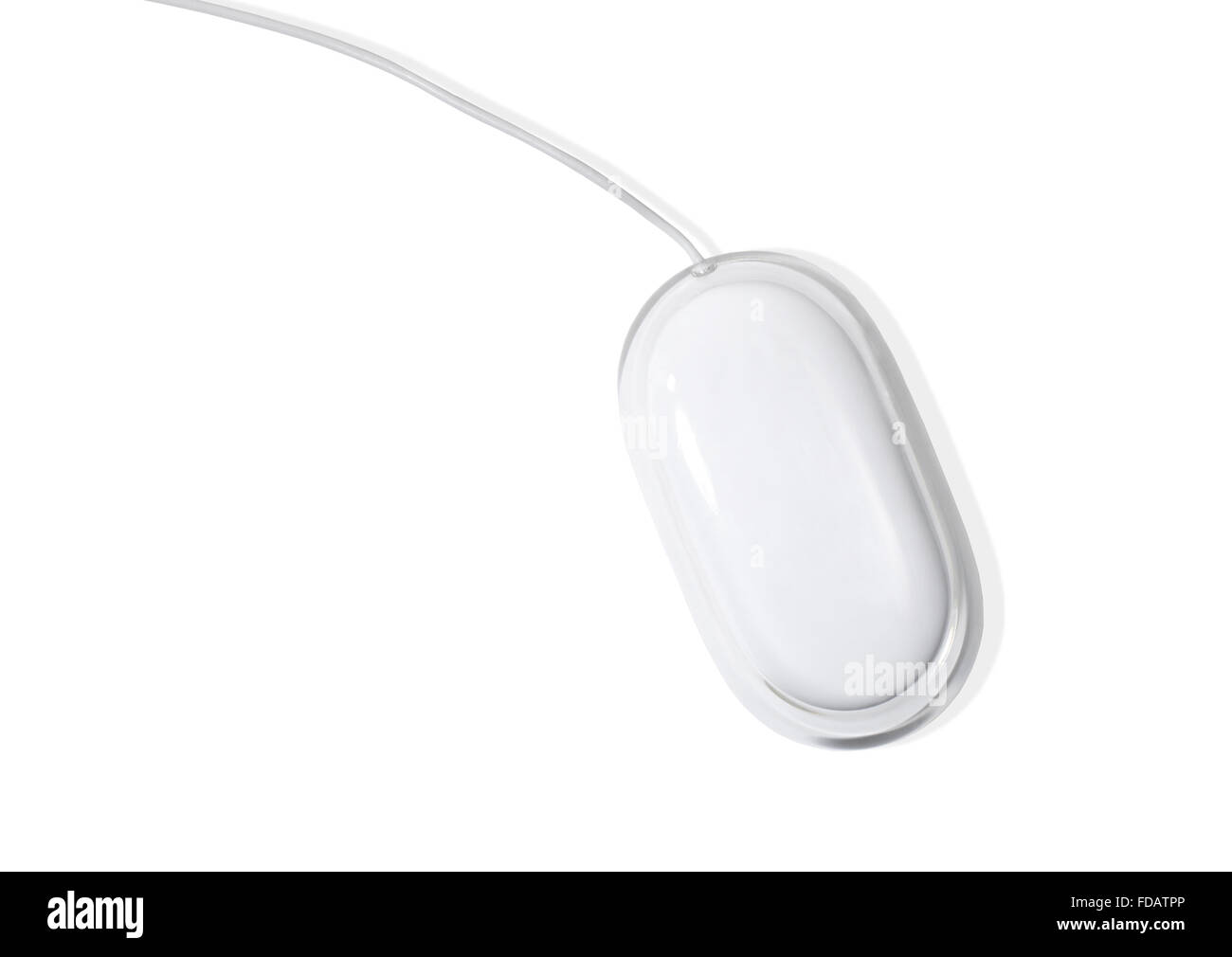 Studio shot of a computer mouse on white background Stock Photo