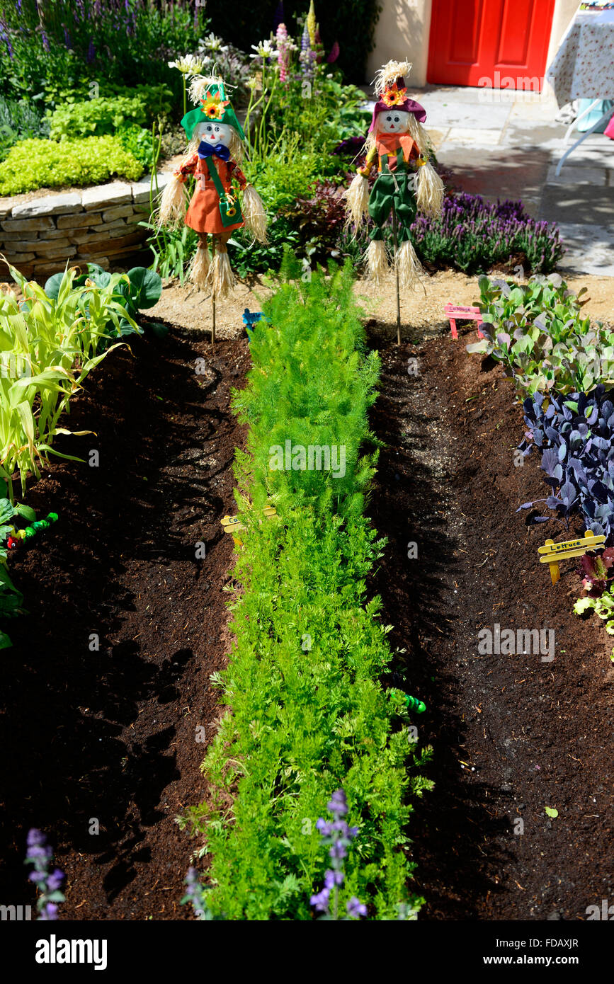 toy vegetable garden