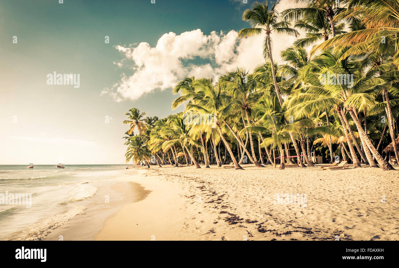 Beautiful caribbean beach on Saona island, Dominican Republic Stock Photo