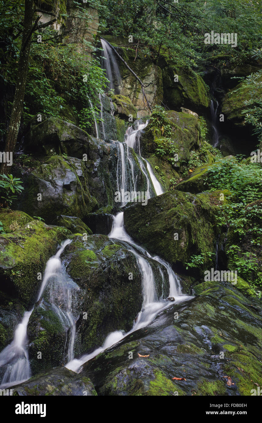 Place of A Thousand Drips, Roaring Fork motor nature trail, Great smoky