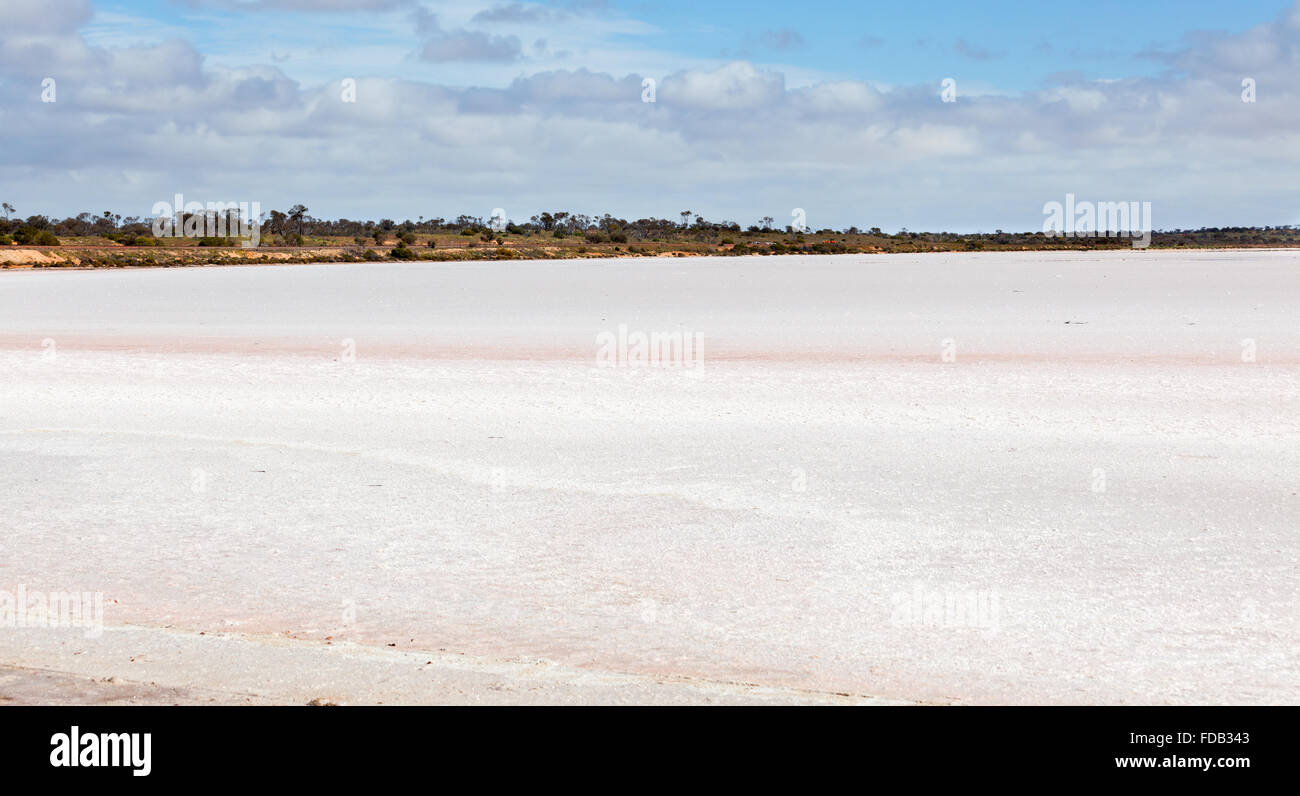 Lake Hart is a salt lake in South Australia very pretty but harsh conditions Stock Photo