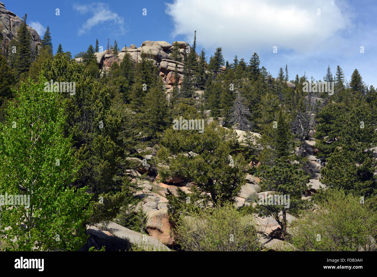 Vedauwoo - rock outcrops of Sherman Granite near Laramie, Wyoming, USA on a sunny morning in June Stock Photo