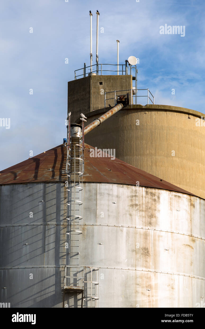Large industrial Grain Silos made of steel Stock Photo Alamy