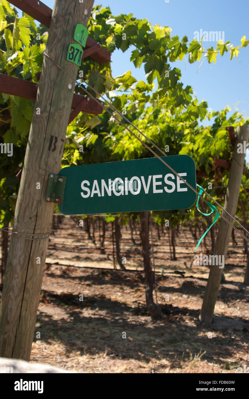 Grapes sign hires stock photography and images Alamy