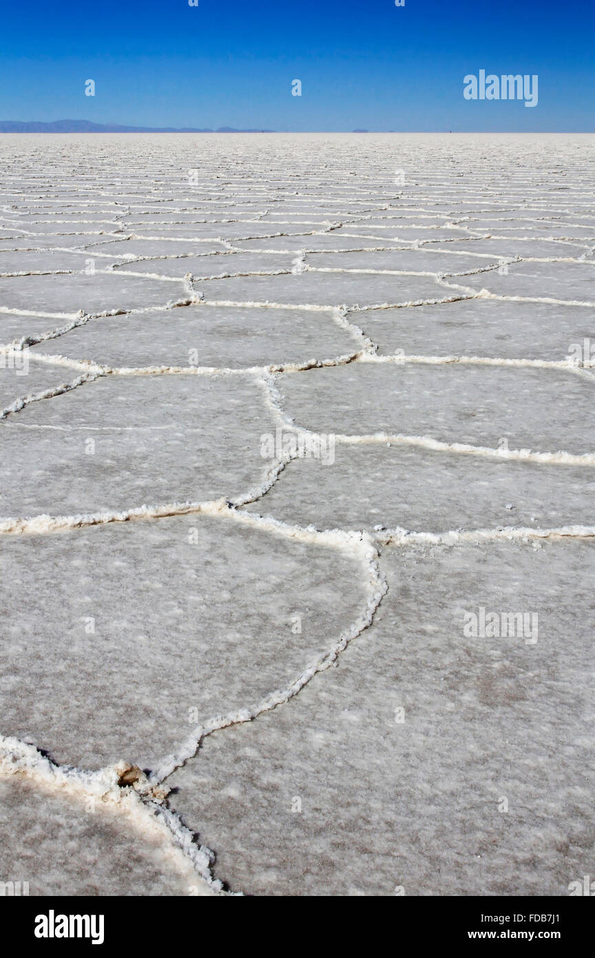 Salar de Uyuni is the world's largest salt flat located in southwest