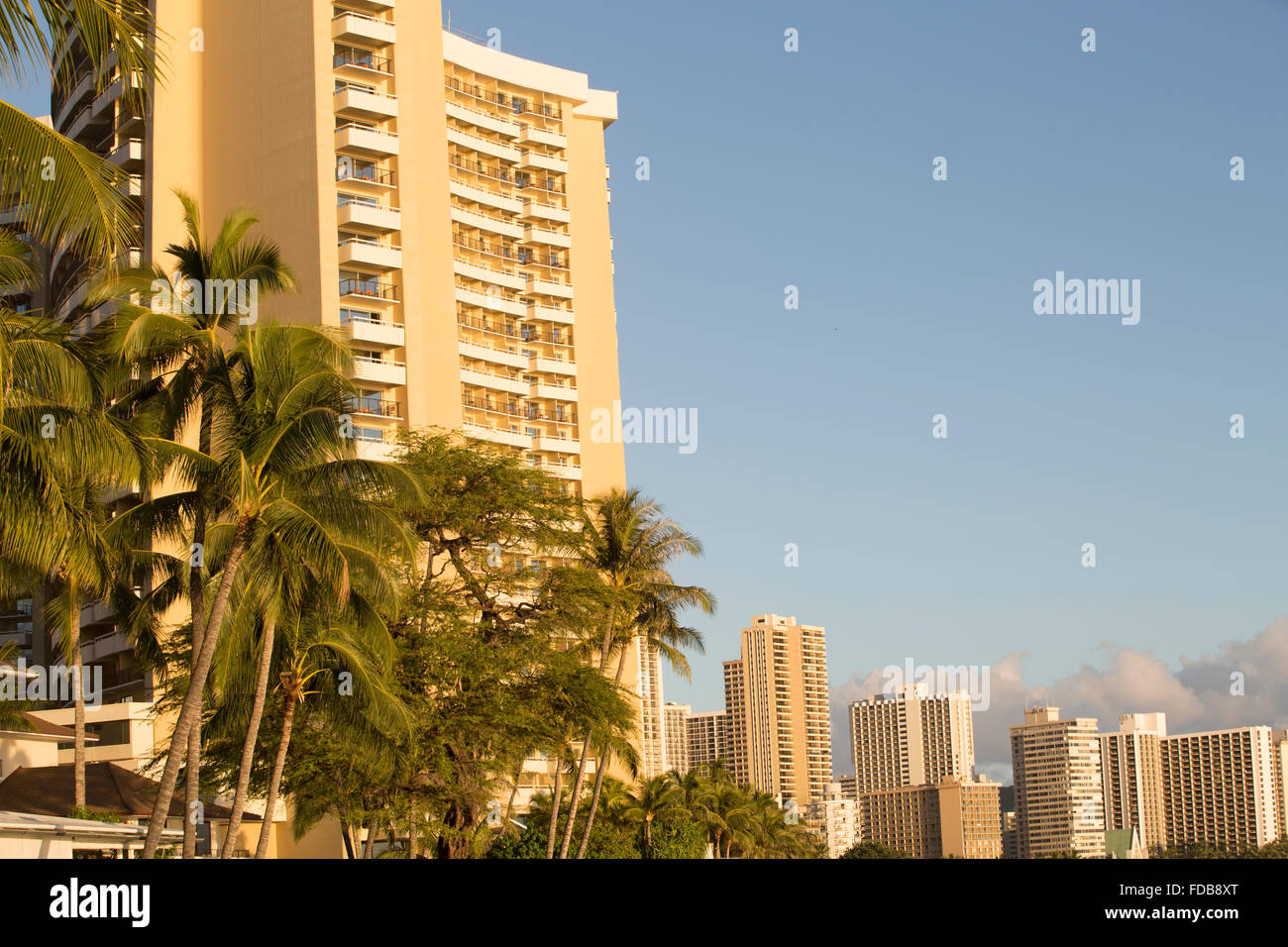 Waikiki beach palm tree hi-res stock photography and images - Alamy