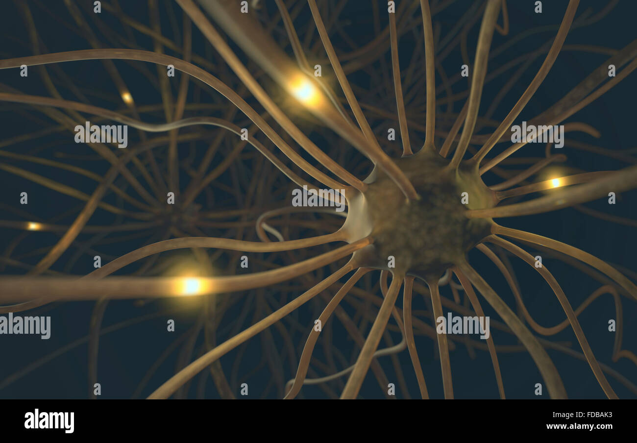 Human nerve cells, illustration. Stock Photo