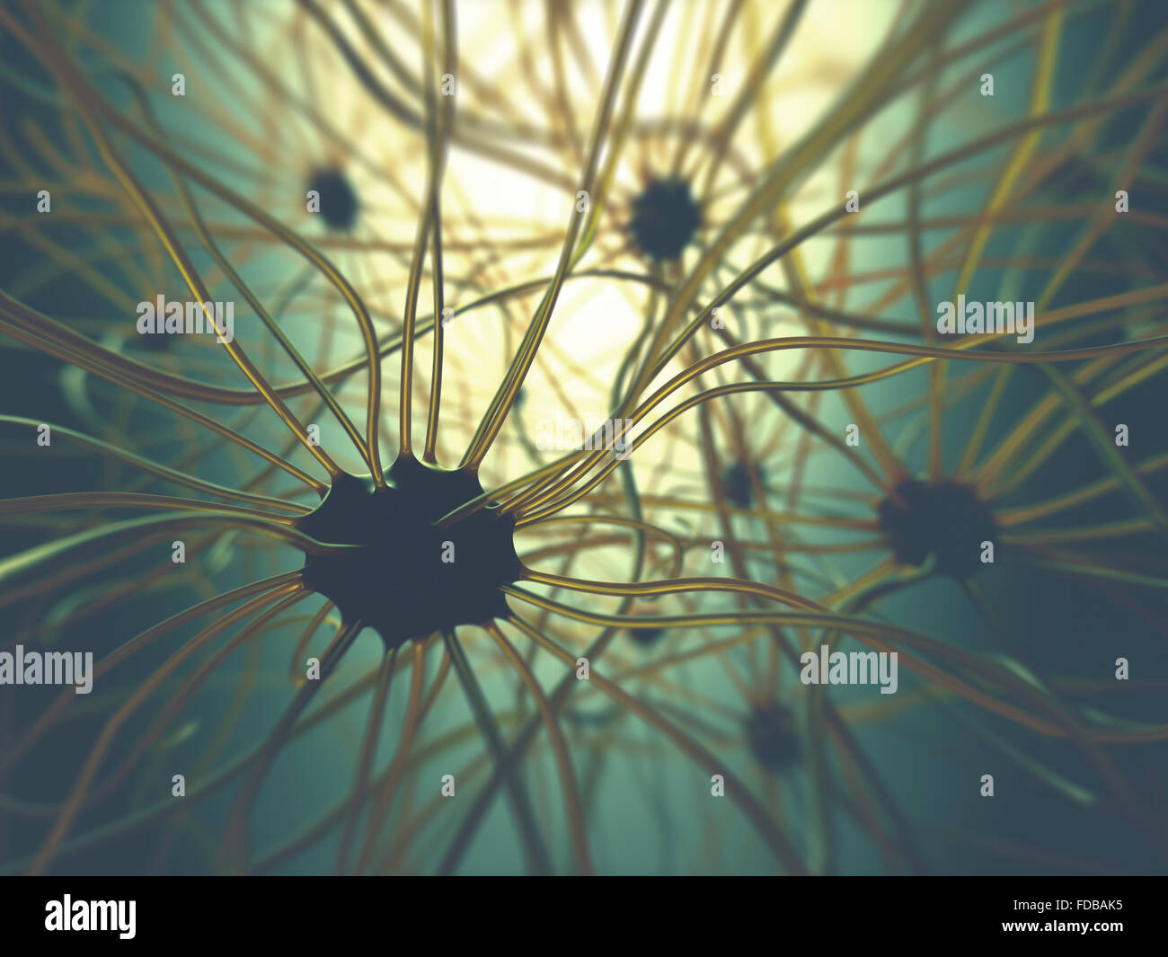 Human nerve cells, illustration. Stock Photo