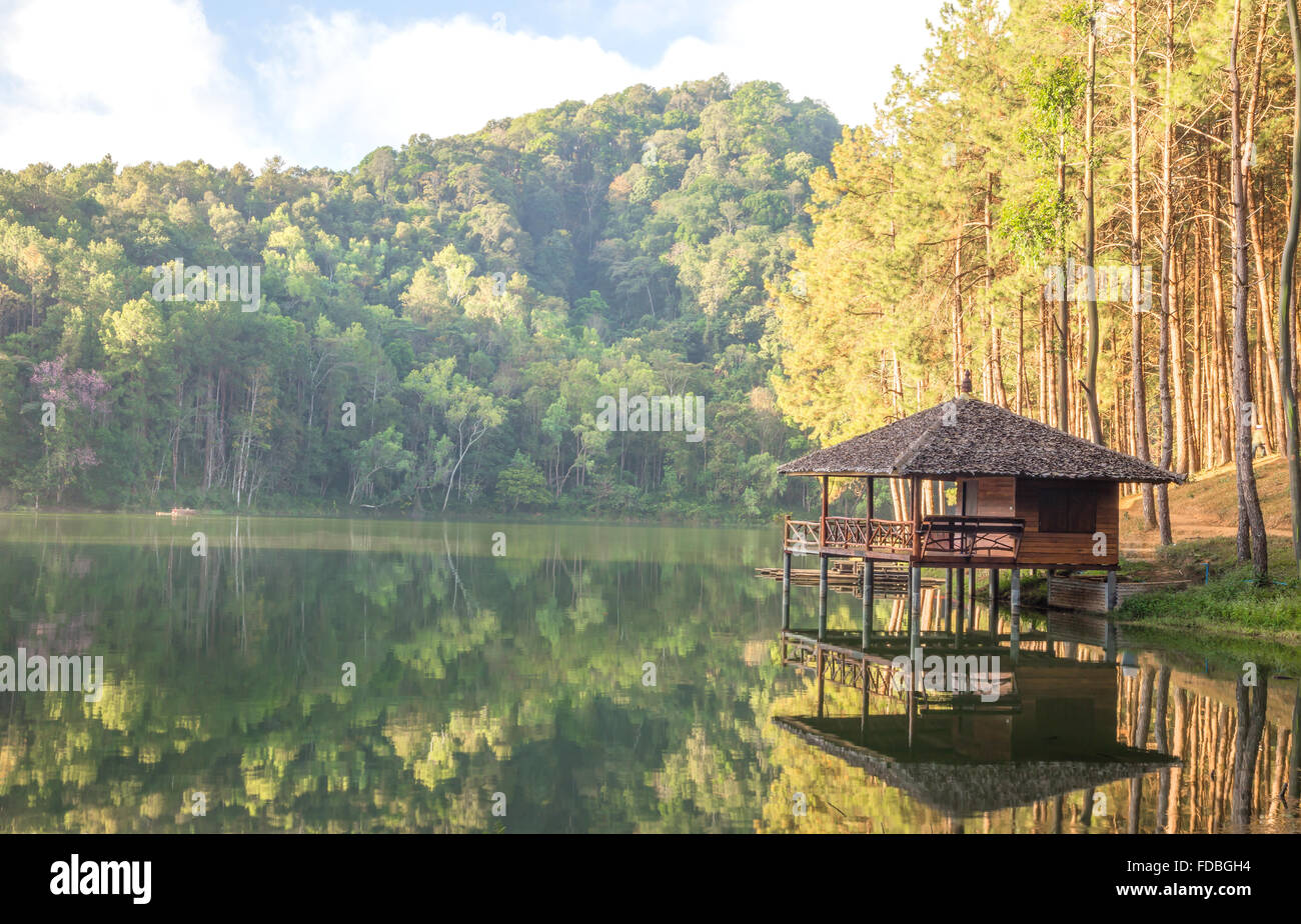 The wooden hut in the forest Stock Photo