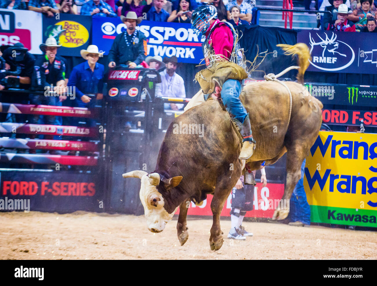 Cowboy Participating in the PBR bull riding world finals Stock Photo