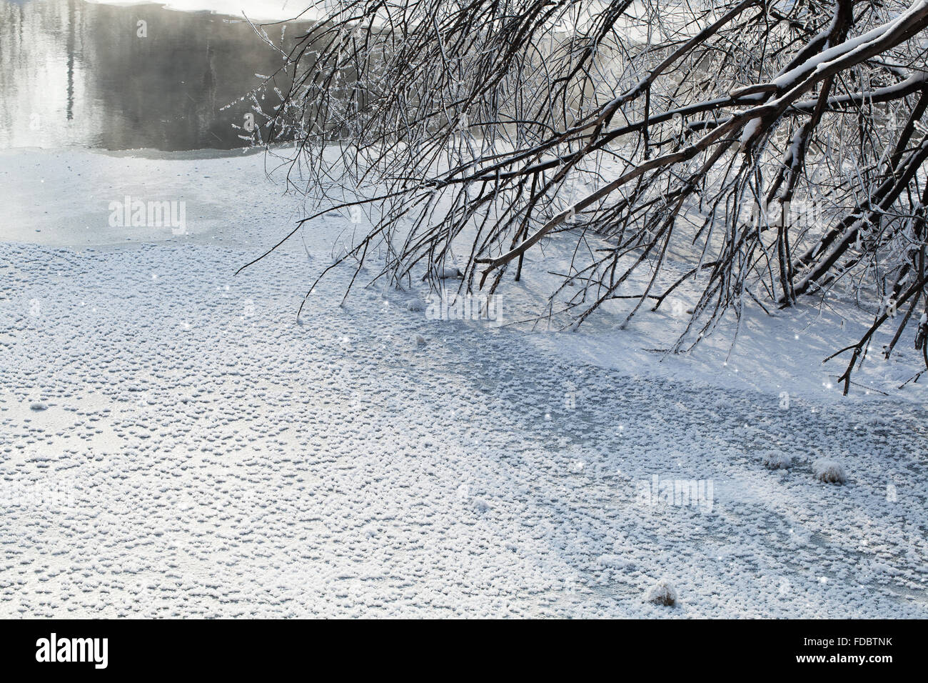 winter landscape of forest and the river Stock Photo - Alamy