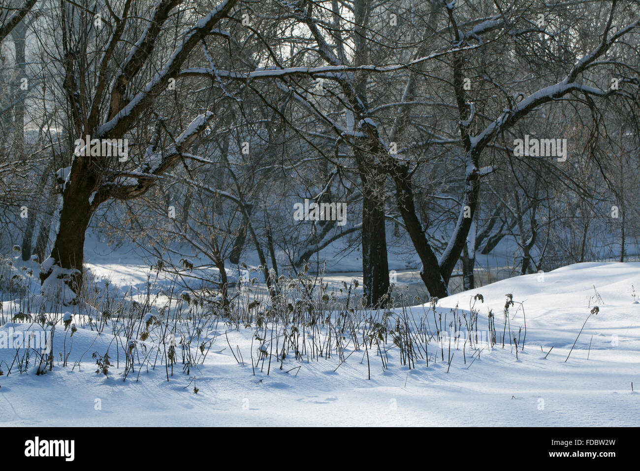 Winter rural landscape Frozen River in the forest Stock Photo - Alamy