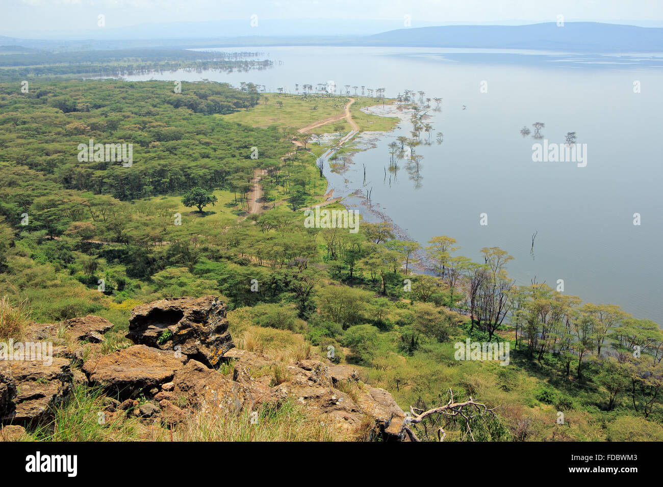 Scenic landscape view of Lake Nakuru National Park, Kenya Stock Photo