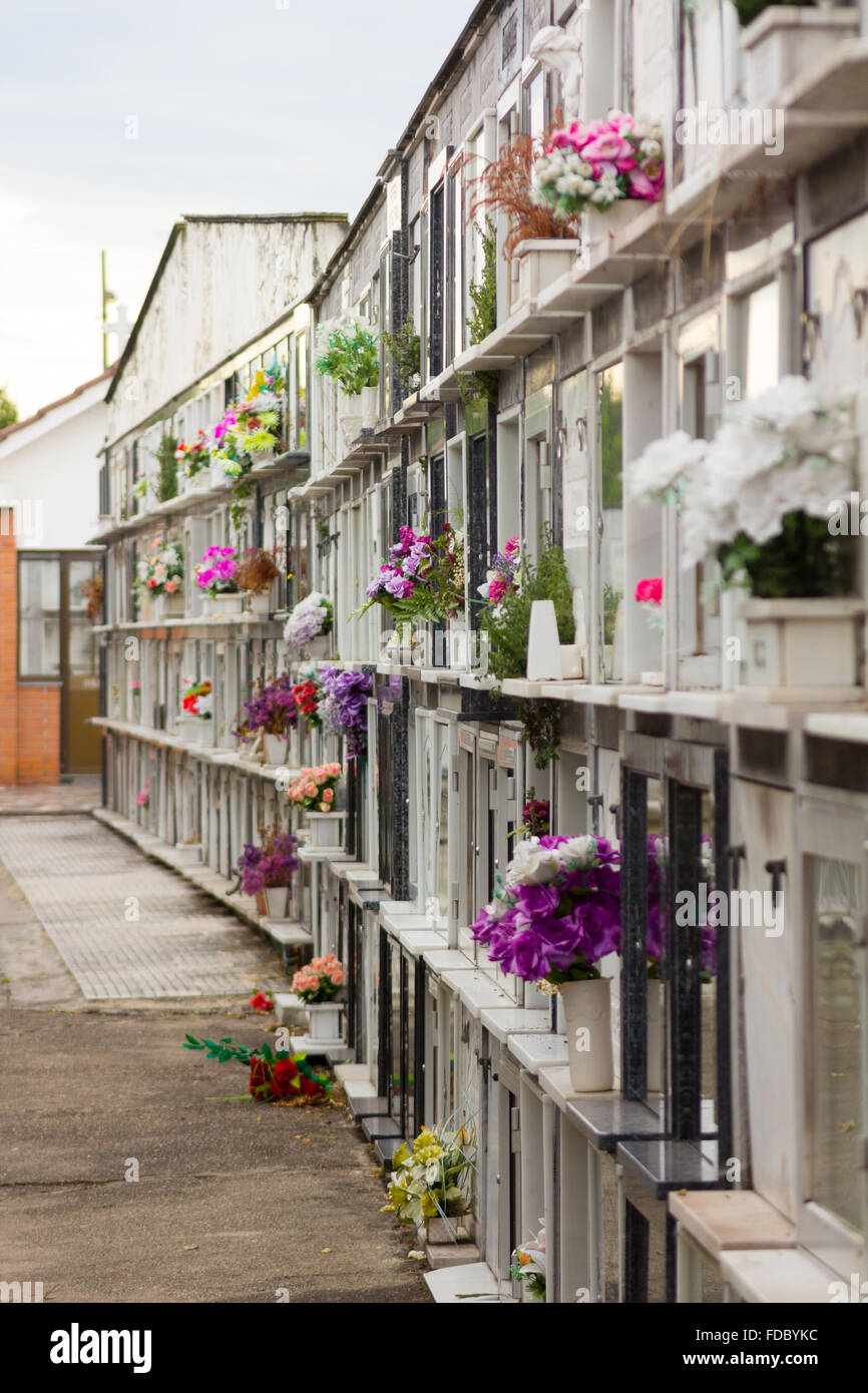 Niches with flowers in a cemetery Stock Photo Alamy