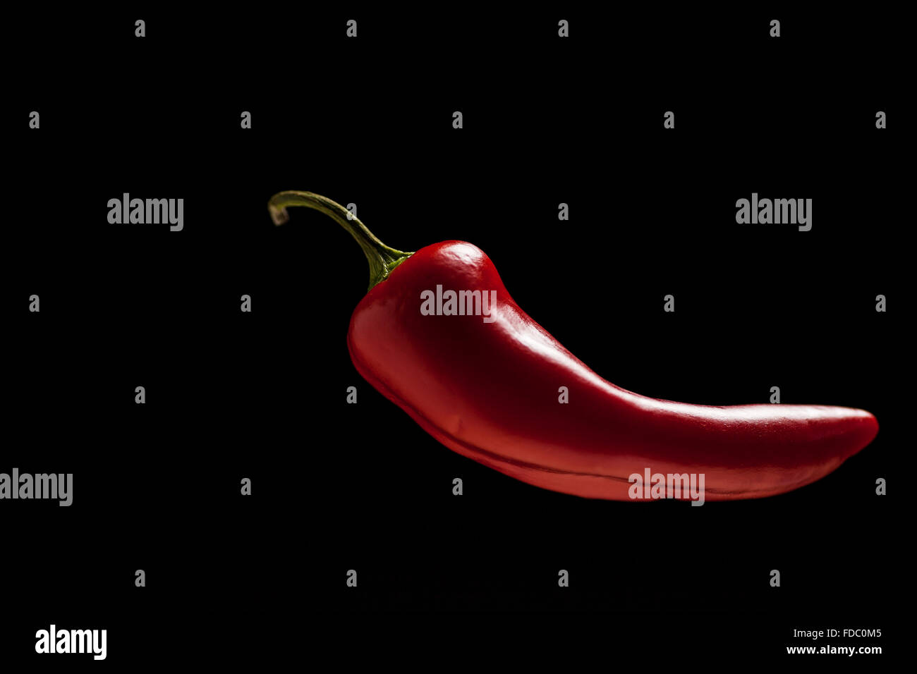 Spicy red chili isolated on a dark background with plenty of copy space Stock Photo