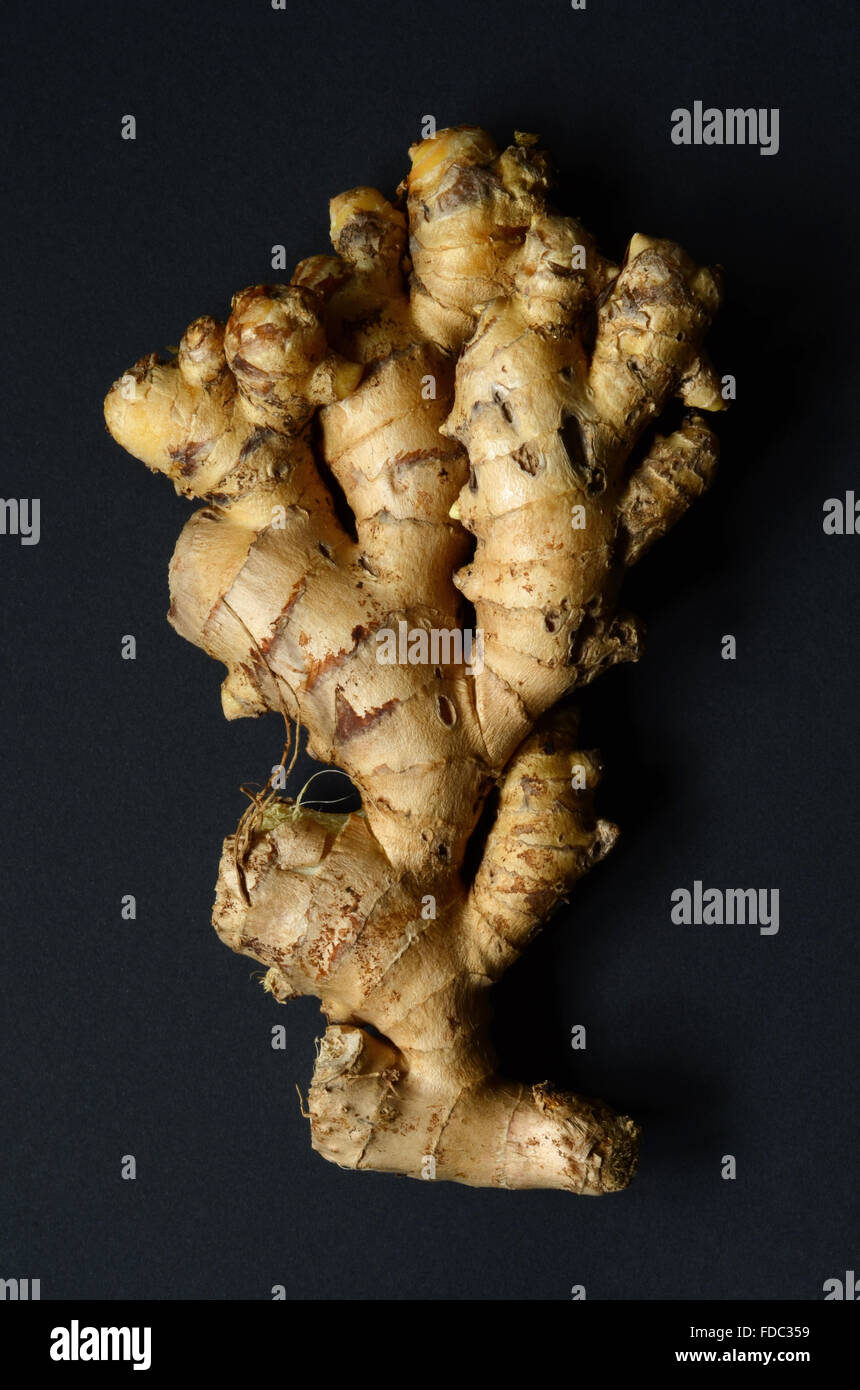 Ginger root closeup on dark background Stock Photo