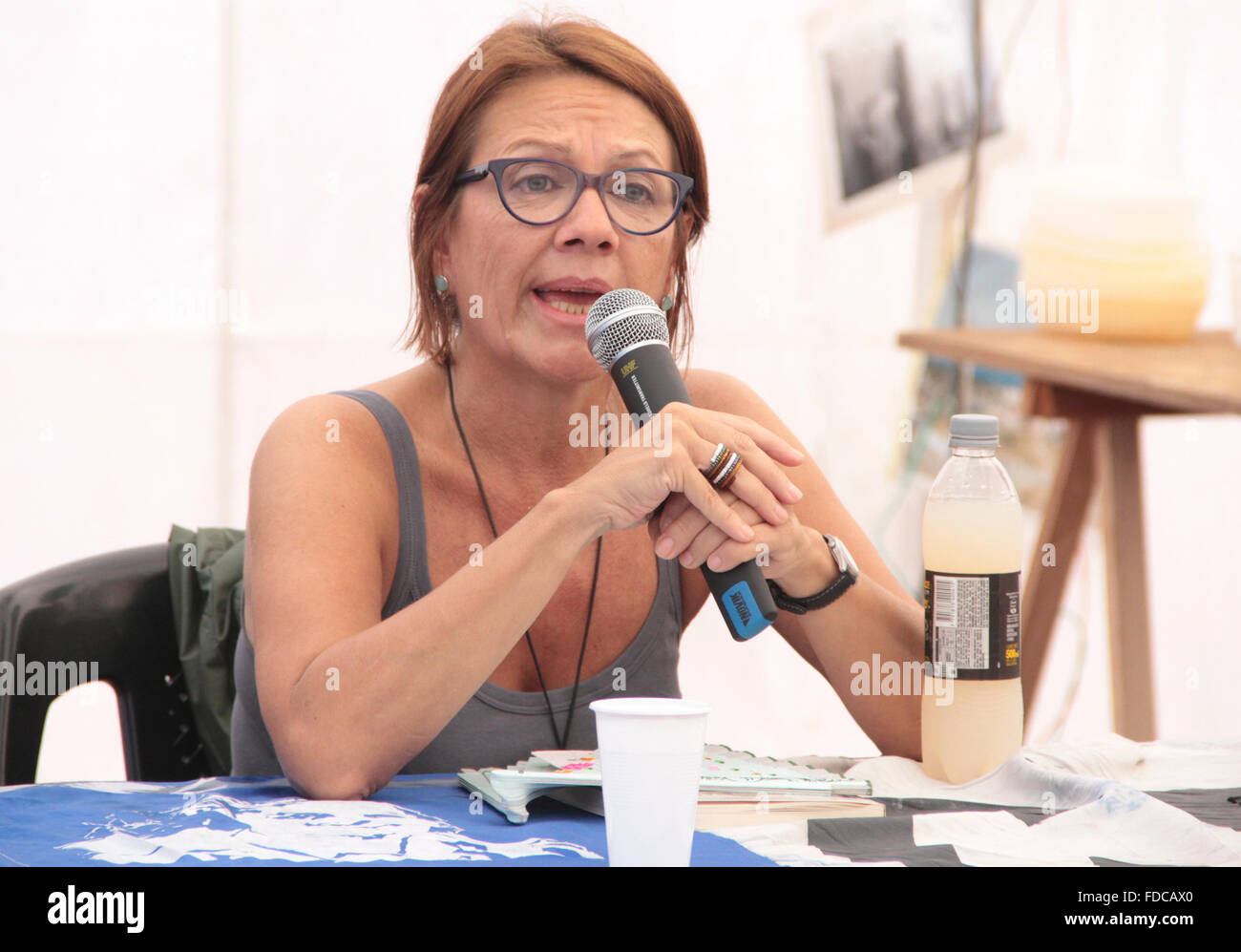 Buenos Aires, Argentina. 29th Jan, 2016. People camping in Plaza de Mayo in front of Casa Rosada claiming for free of social activist Milagro Sala detained in Jujuy. Credit: Néstor J. Beremblum/Alamy Live News Stock Photo