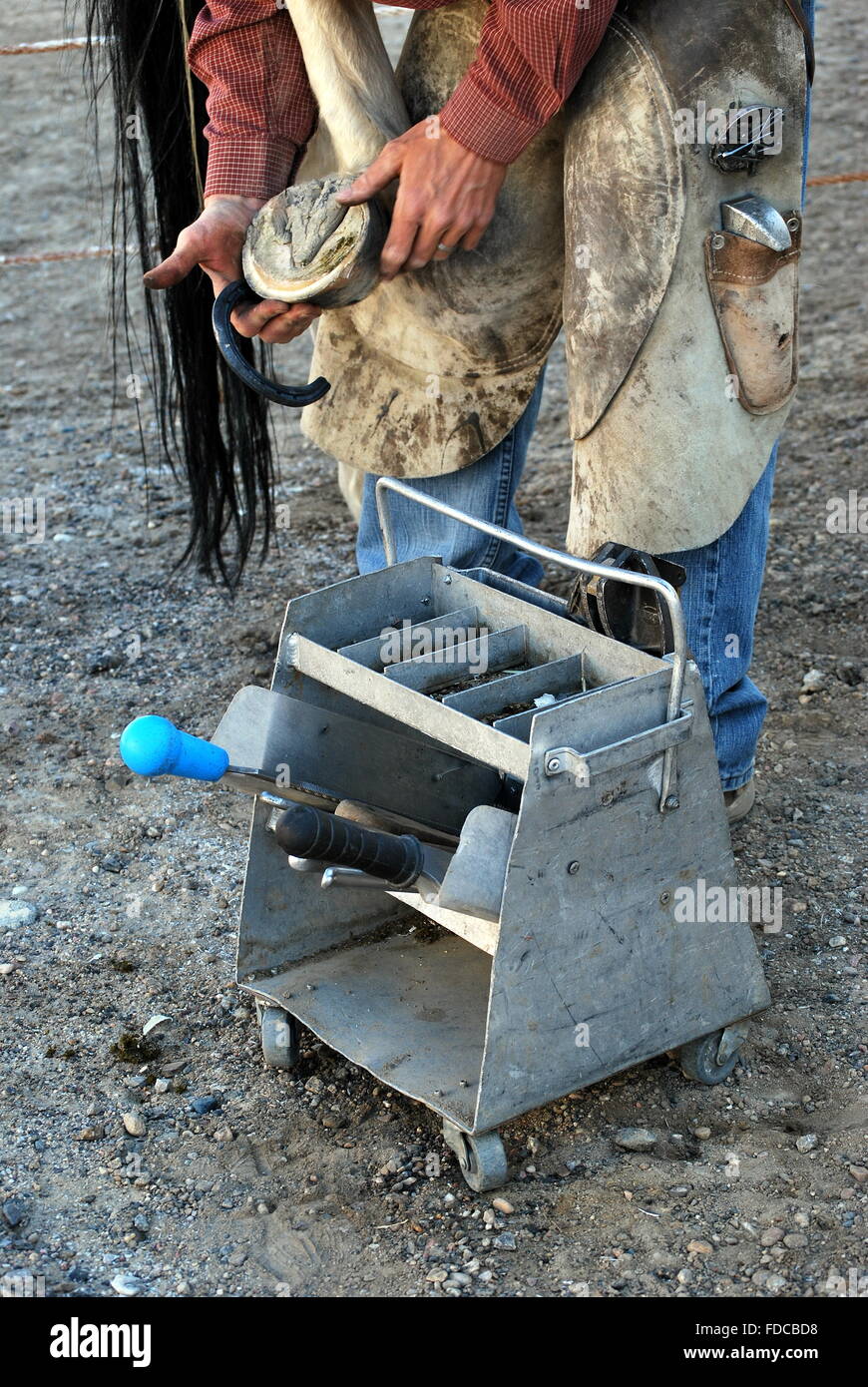 Farrier working on a horseshoe Stock Photo Alamy