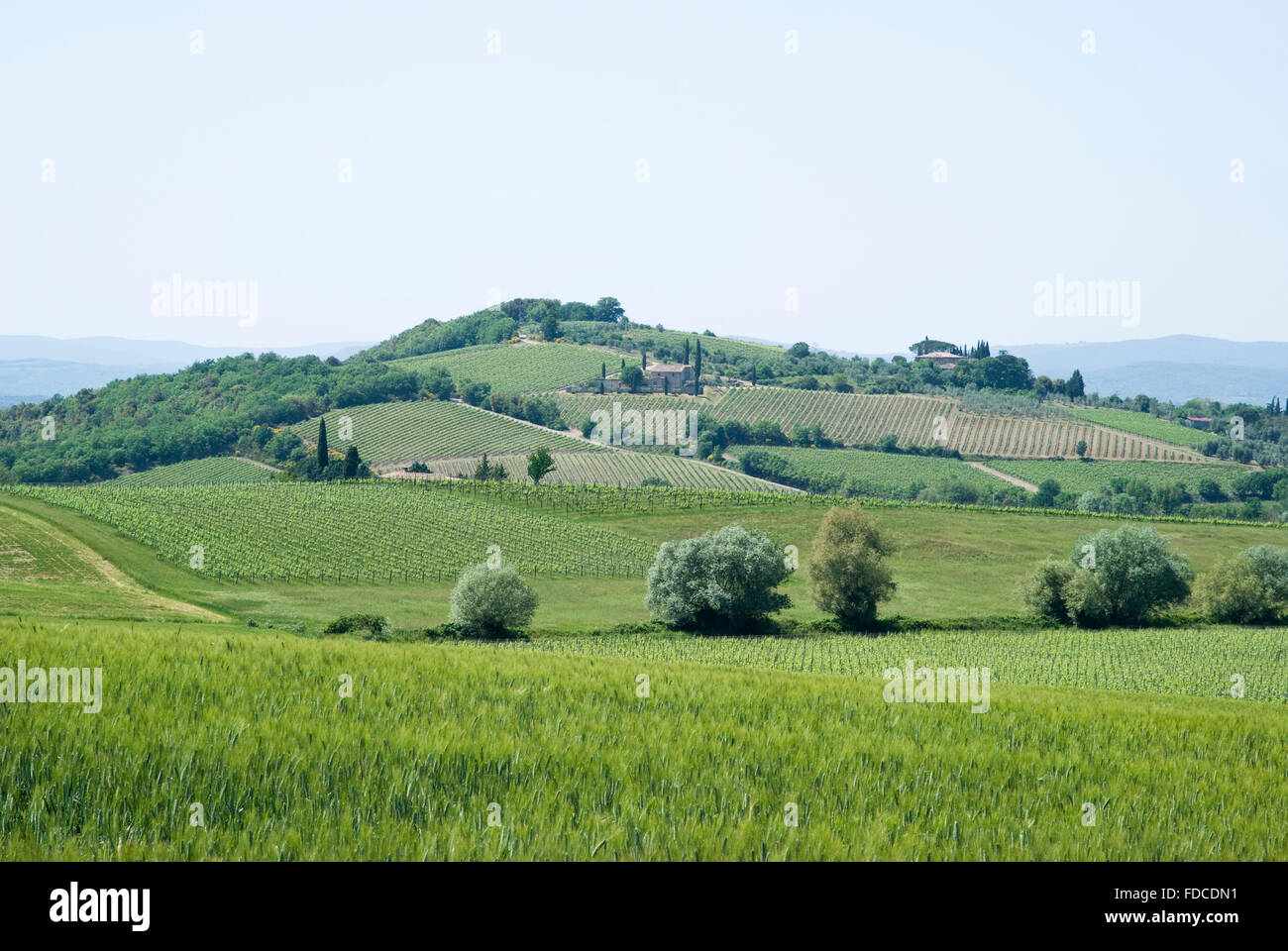 Rural landscape in Tuscany, Italy Stock Photo