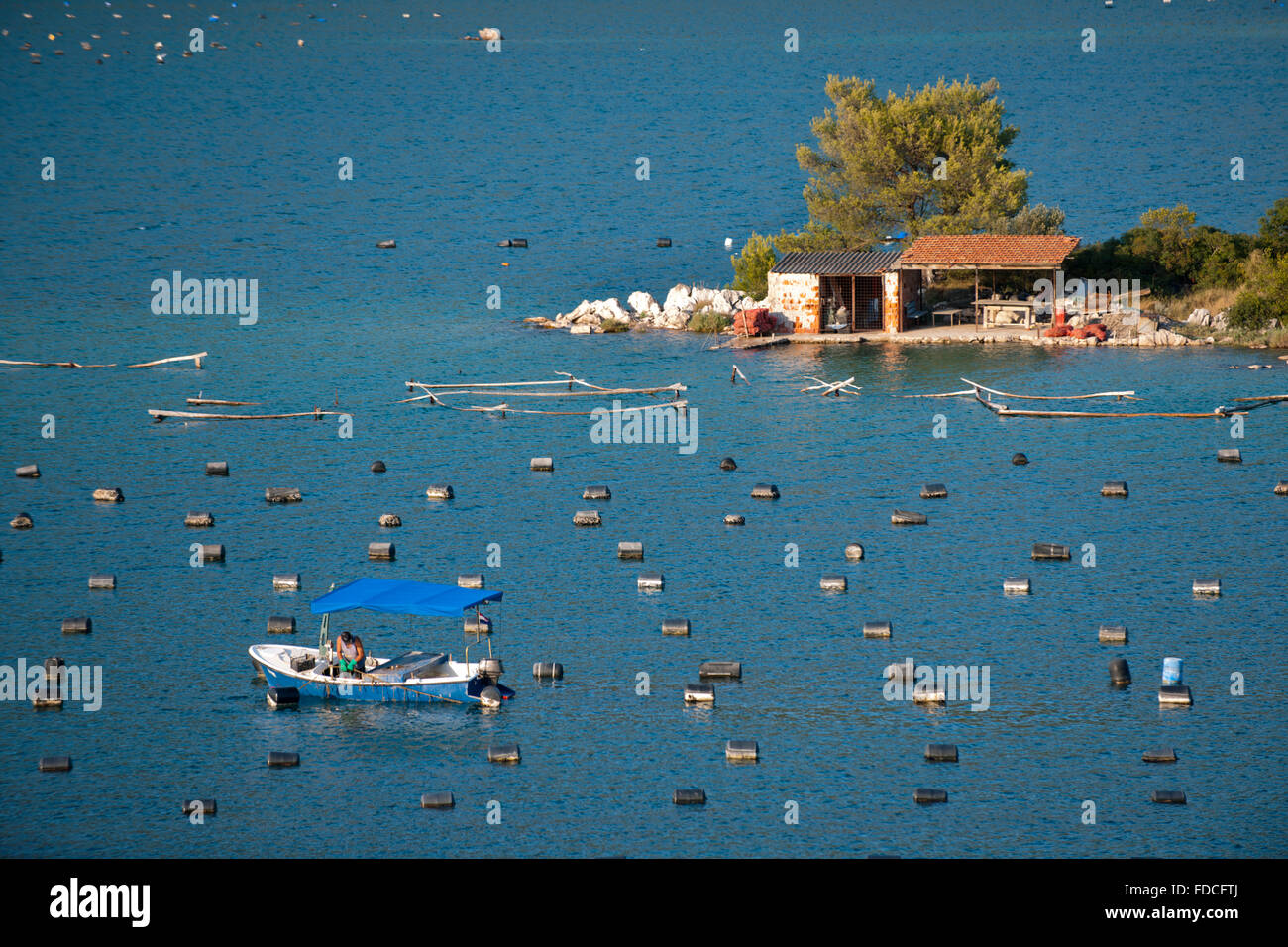 Kroatien, Dalmatien, Austernzucht in der Bucht der Halbinsel Peljesac, Stock Photo