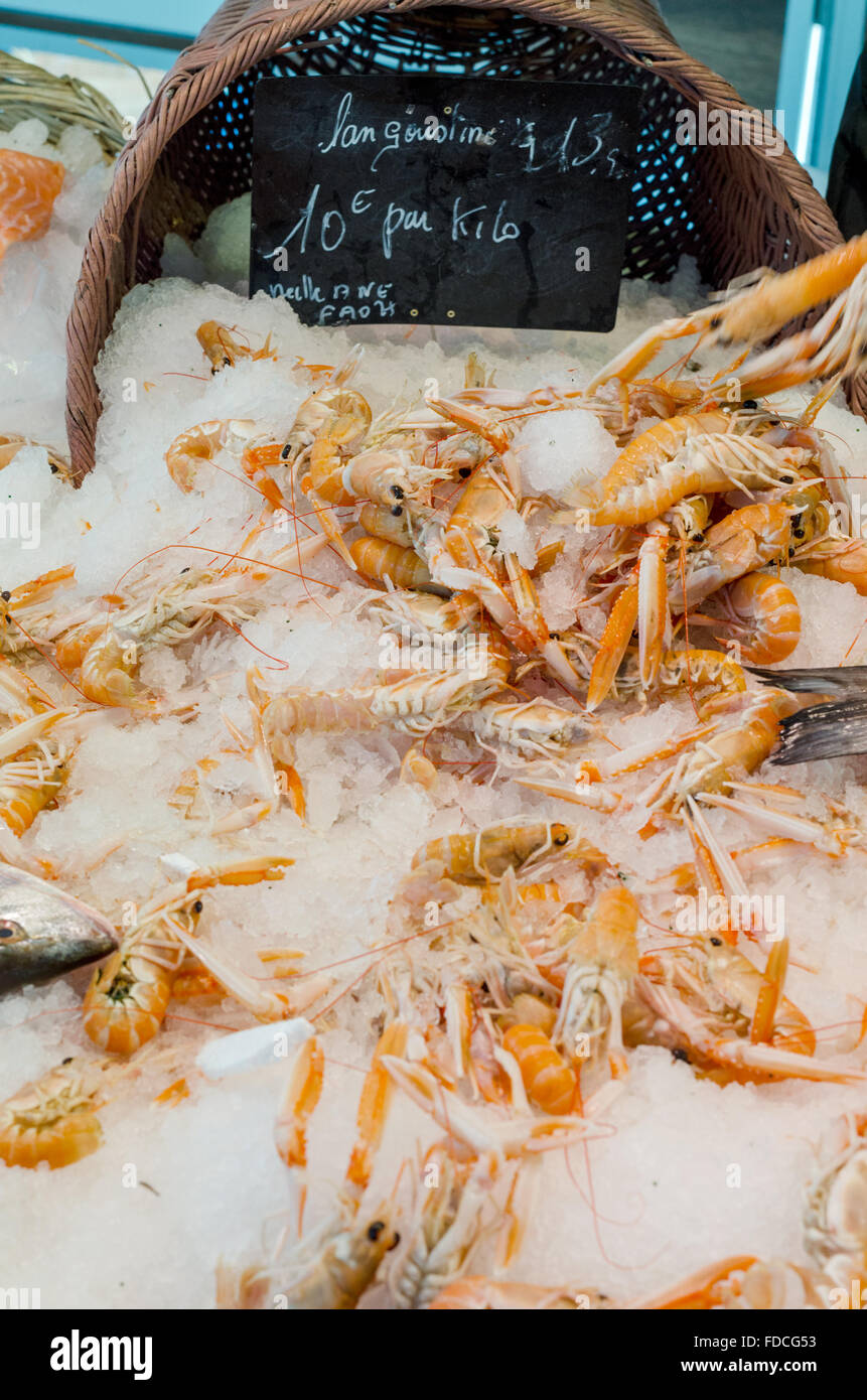 Fresh langoustine, displayed on ice and in a basket at a French farmers market Stock Photo