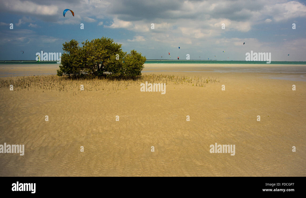 Kite surfer beach, Abu Dhabi Stock Photo