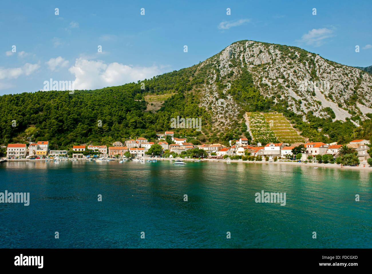 Kroatien, Dalmatien, Halbinsel Peljesac, Trstenik Stock Photo