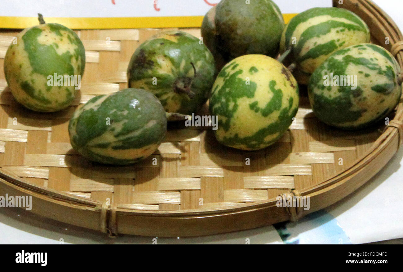 Mangifera indica, variegated mango, family Anacardiaceae, fruit