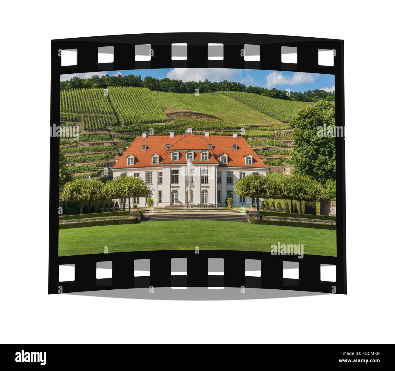 The baroque castle Wackerbarth is a wine-growing estate in Radebeul near Dresden, Saxony, Germany, Europe Stock Photo
