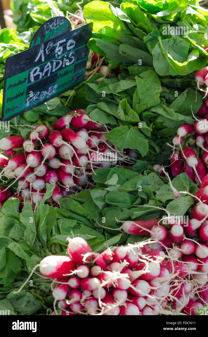Fresh radis/ radishes on display at a French farmer's food market with chalkboard price tag Stock Photo