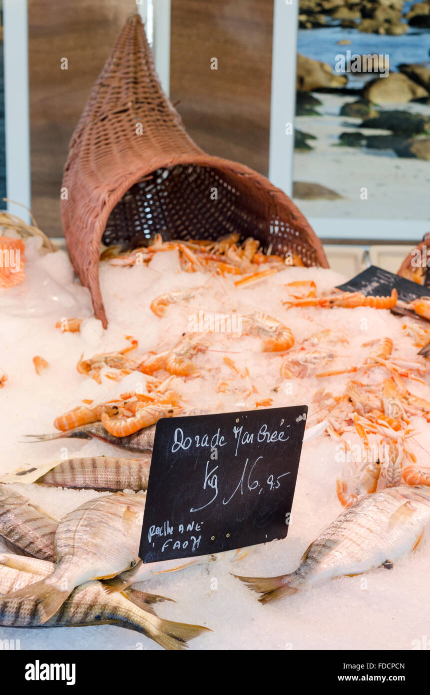 Fresh langustine crayfish and dorade displayed on ice on a fishmongers stall at a French food market Stock Photo