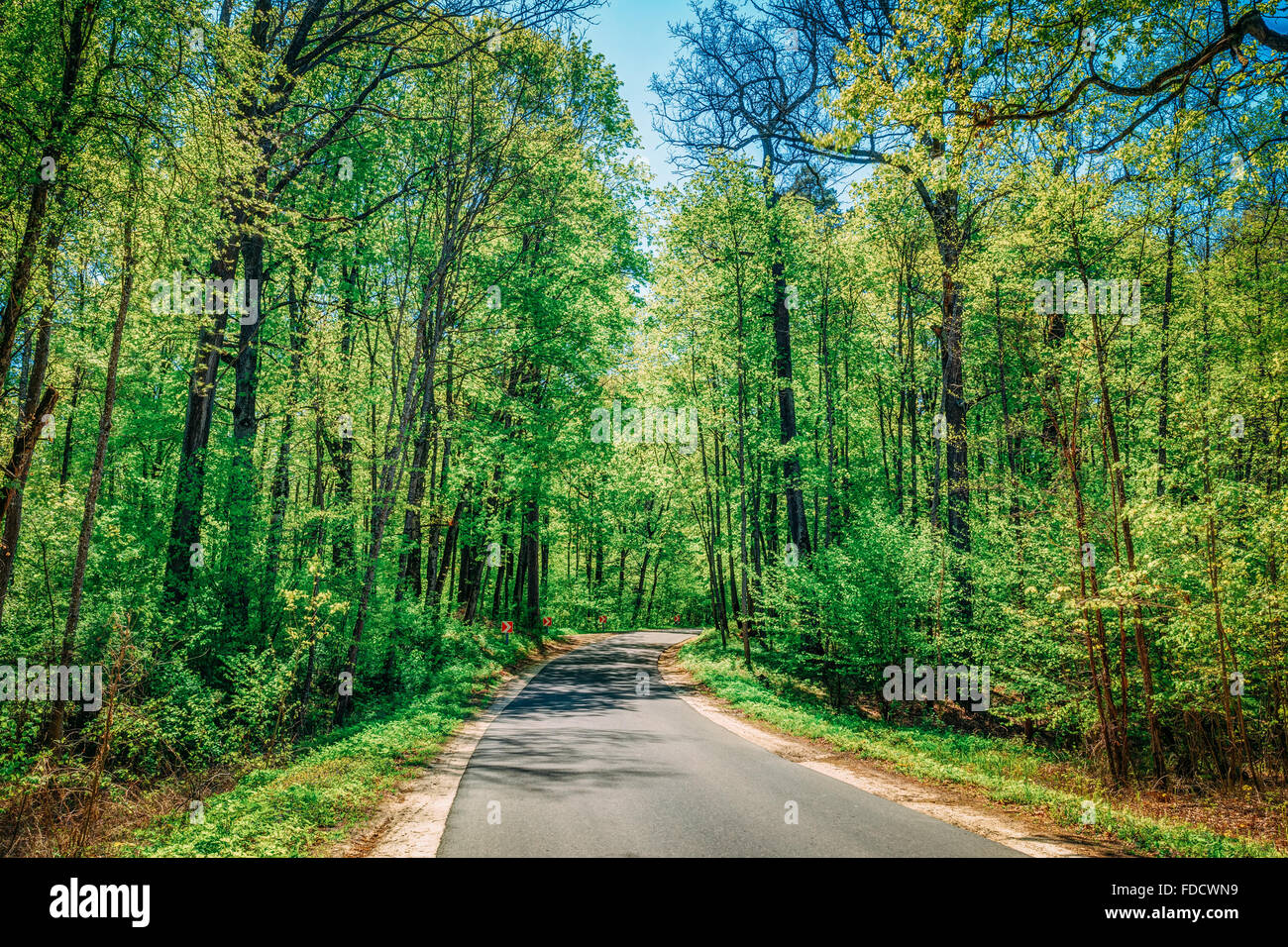 Spring Highway Asphalt road through spring hi-res stock photography and images - Alamy