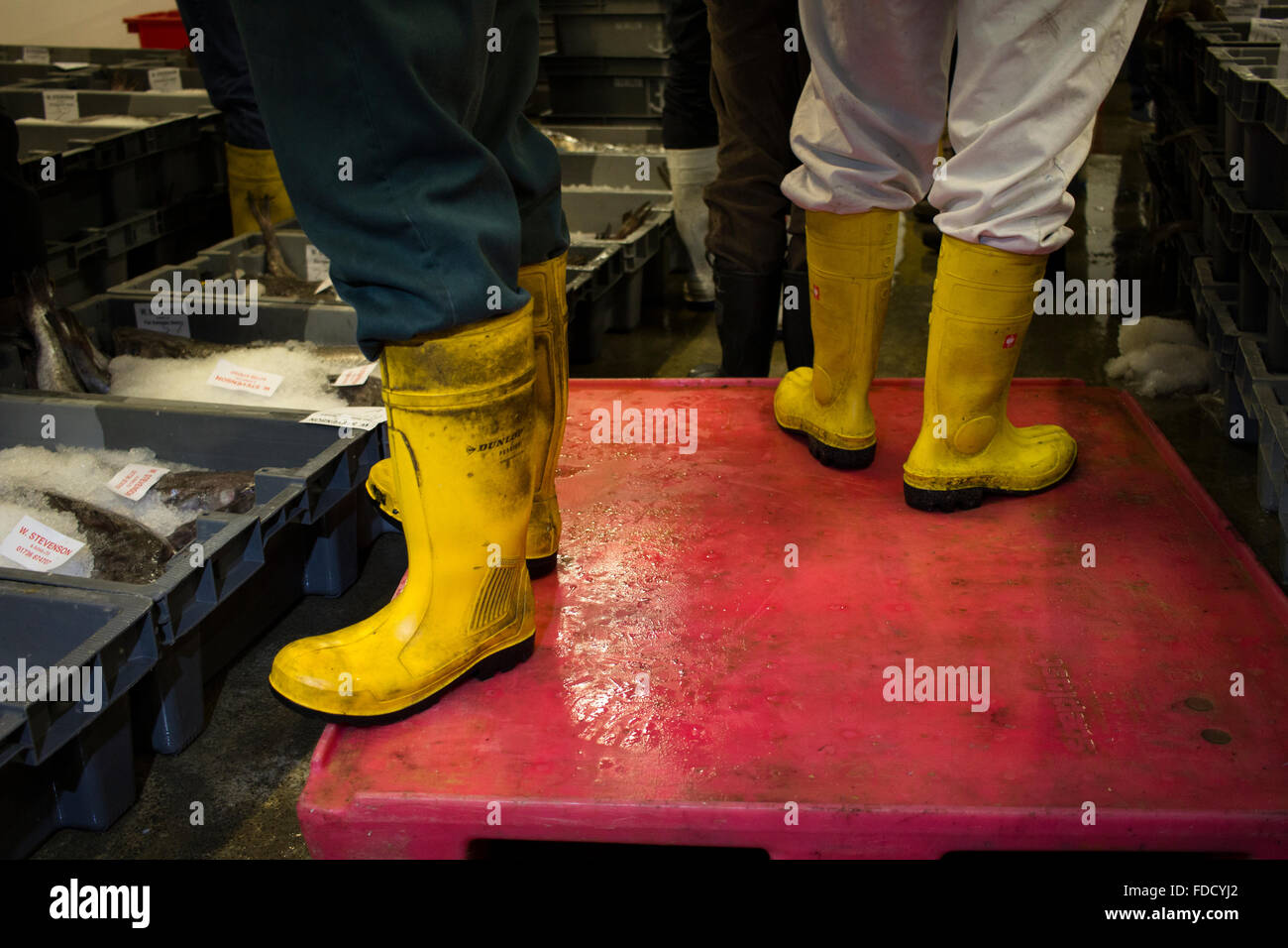 Workers at the Newlyn Harbour fish auctions Stock Photo