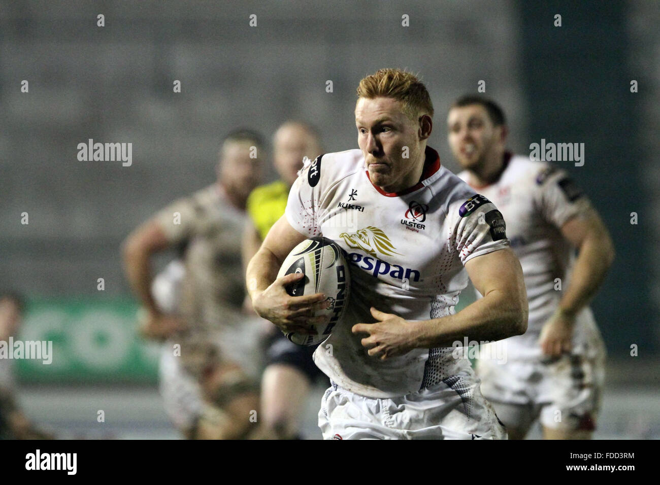 Treviso, Italy. 30th Jan, 2016. Ulster's player Rory Scholes runs with the ball during Rugby Guinness Pro12 match between Benetton Treviso and Ulster. Credit:  Andrea Spinelli/Pacific Press/Alamy Live News Stock Photo